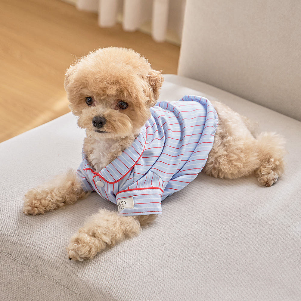 실크핏 클로에 펫 잠옷 반려동물 강아지 고양이 파자마 가격 비교 DOSSY 실크핏 클로에 펫 잠옷 반려동물 강아지 고양이 파자마