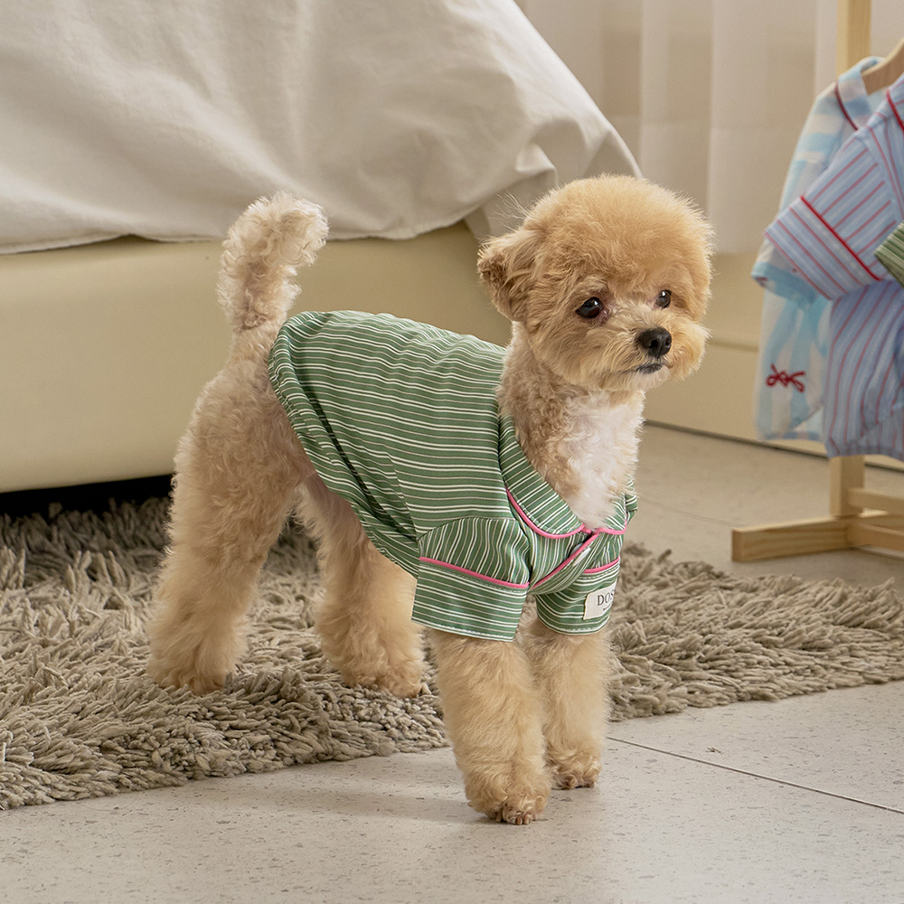 실크핏 웬즈데이 펫 잠옷 반려동물 강아지 고양이 파자마 상품 이미지
