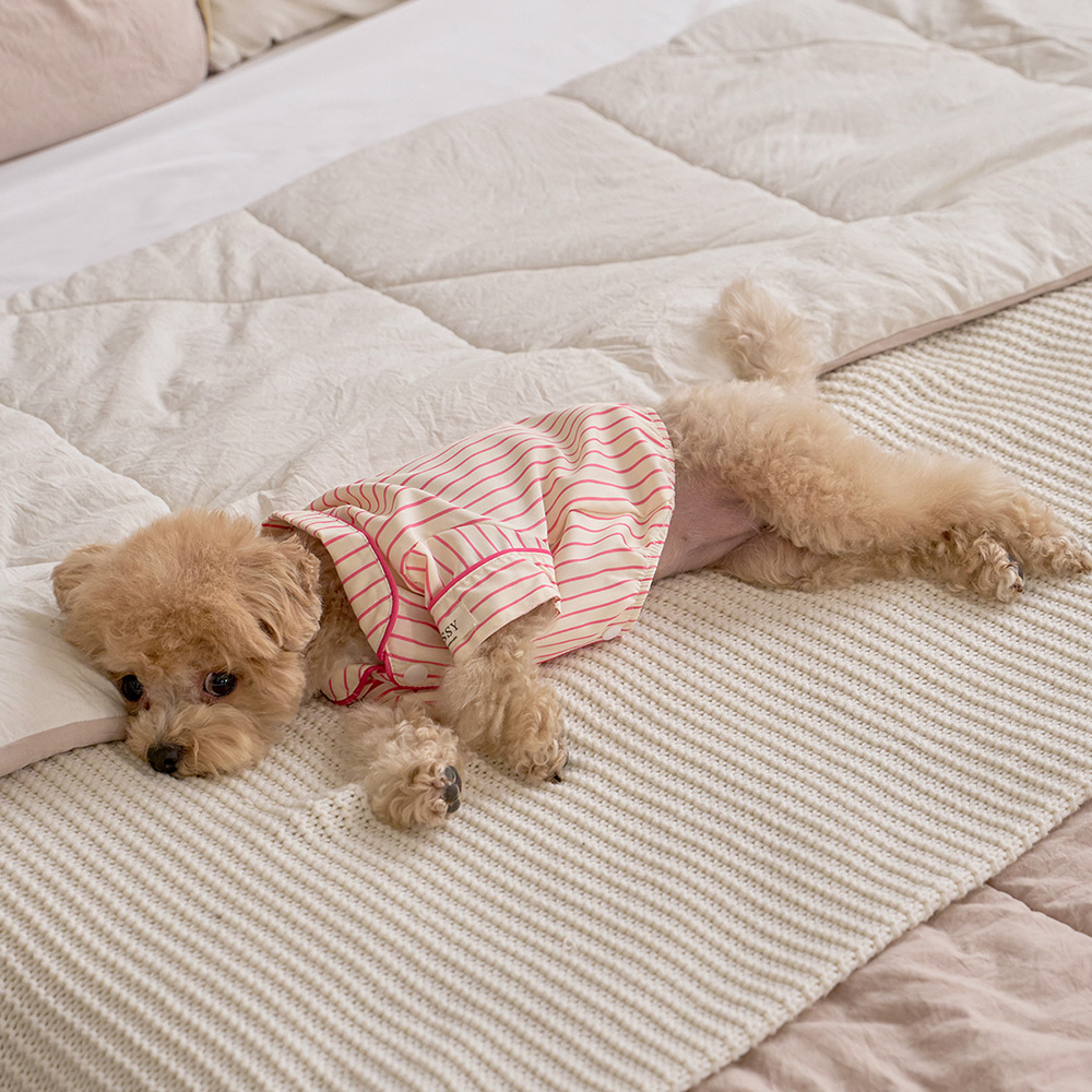 실크핏 러브썸 펫 잠옷 반려동물 강아지 고양이 파자마 상품 이미지