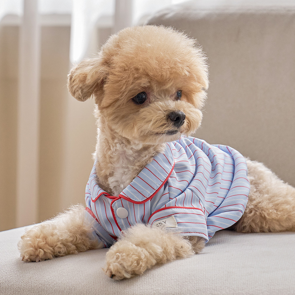 실크핏 클로에 펫 잠옷 반려동물 강아지 고양이 파자마 상품 이미지