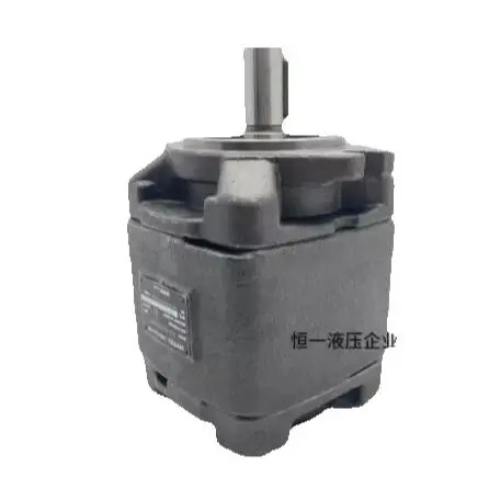 HYTEK 기어 펌프 HG1-25-01R-VPC HG1-32-01R-VPC HG1-40-01R-VPC HG1-50-01R-VPC HG1-63-01R-VPC HG0-08-01R-V