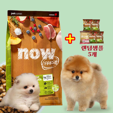 나우 프레쉬 스몰브리드 눈물사료 퍼피, 5.4kg, 1개
