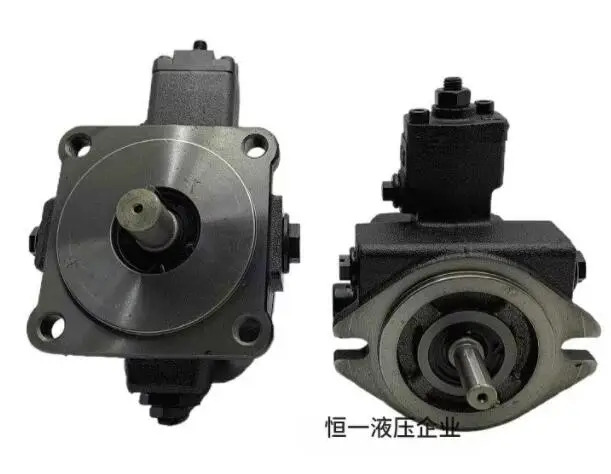 EALY 베펌프 VPE-F20D-10 VPE-F20C-10 VPE-F20B-10 VPE-F30D-10 VPE-F30C-10 VPE-F30B-10 VPE-F40D-10 VPE-F4