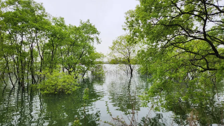 [깨비의숲마을][전주 백석공원] 전북 전주 숲체험 어린이 여름 유아 초등 자연 곤충 주말 방학 체험 학습 이미지 7