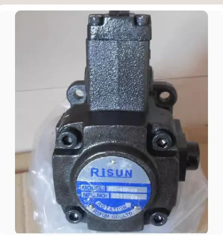 RiSUN 펌프 VE2-40F-A4 VA1-12F-A3 VD1-12F-A3 VE1-40FA3 VP-40FA3 VVP-VD1/20 VE1-401-A3 VE2 40F A4 VE1-4