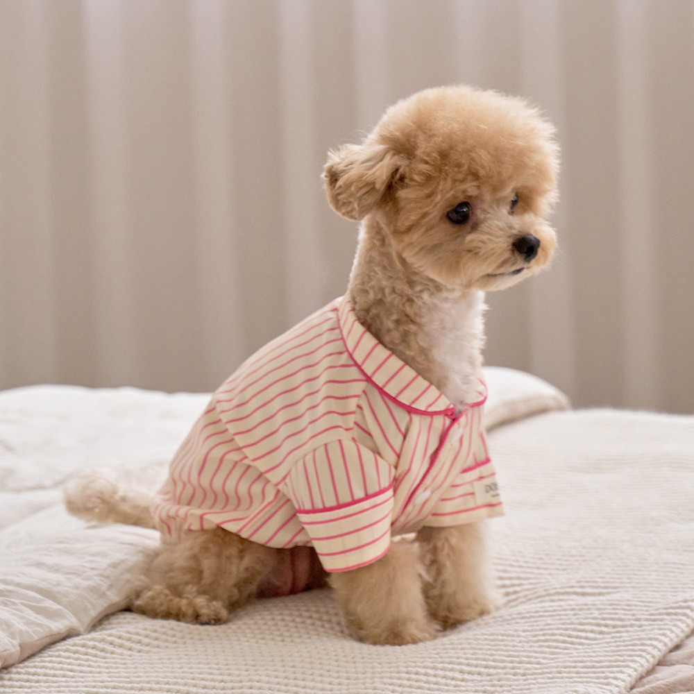 실크핏 러브썸 펫 잠옷 반려동물 강아지 고양이 파자마 상품 이미지