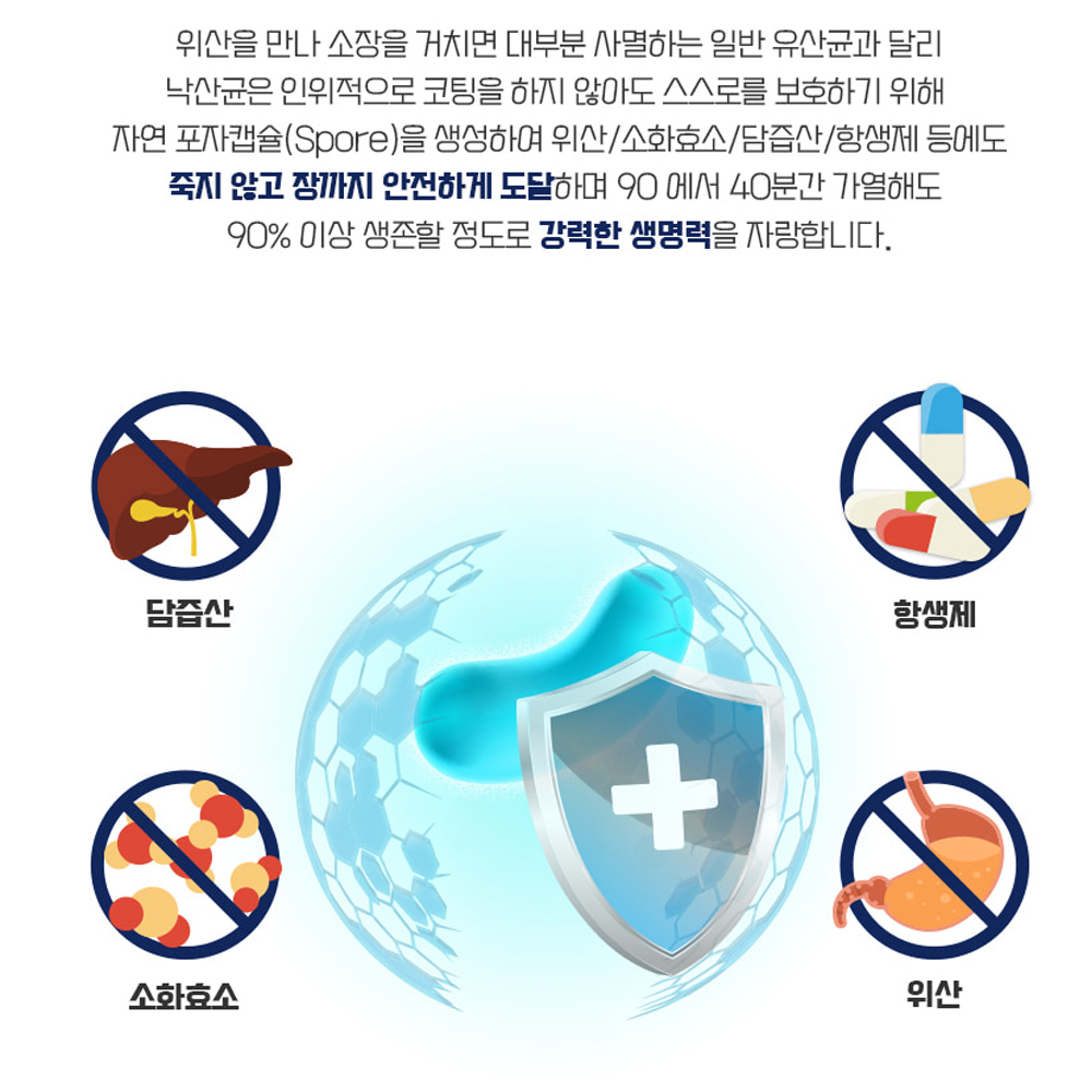 낙산균 프로바이오틱스 생 유산균 스틱 공복 장내 유익균 프리바이오틱스 마이크로바이옴 유산균 이미지 8