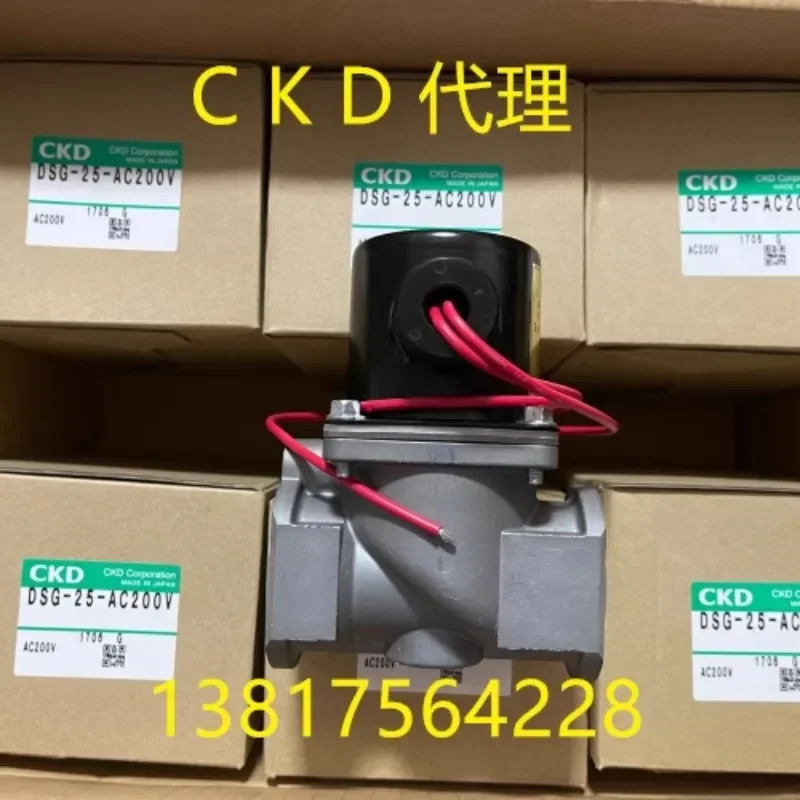 전자기 밸브 DSG-15-AC200V DSG-20-AC200V DSG-25-AC200V