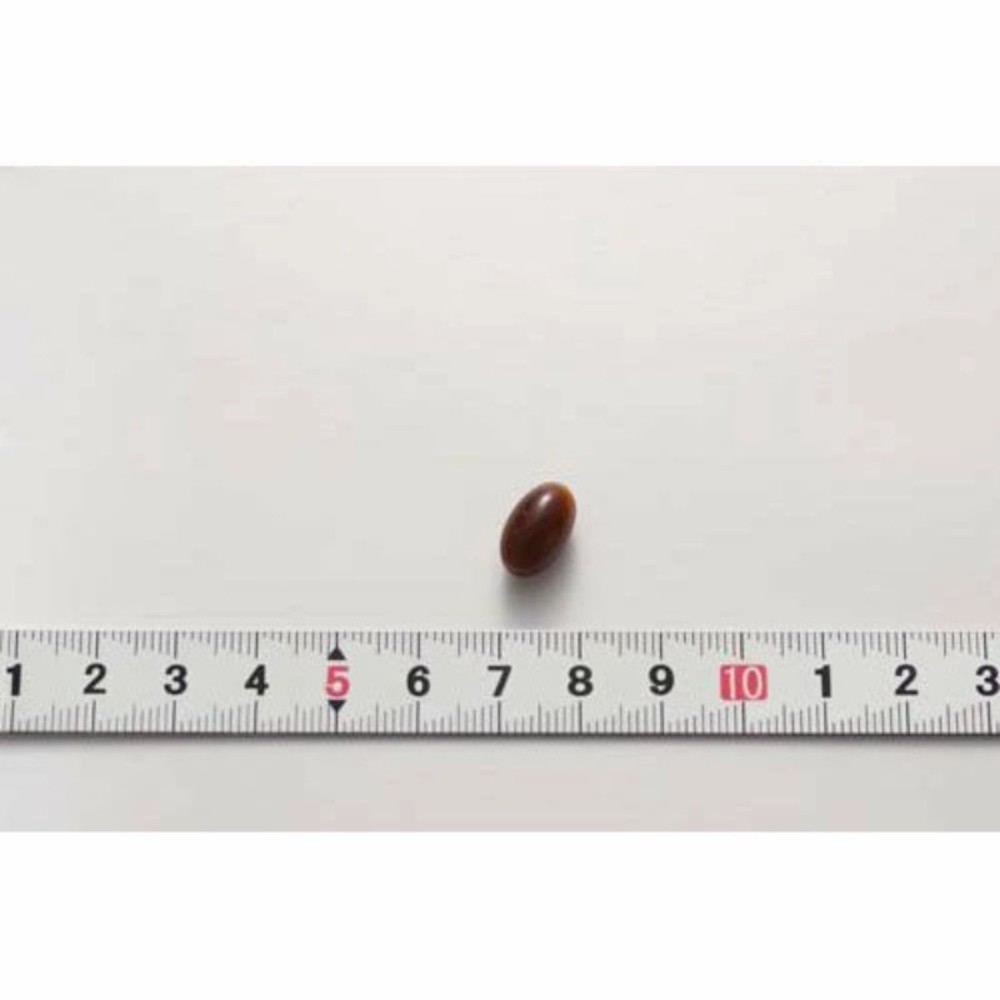 고바야시제약 낫토키나제 배양엑스 EPA DHA 일본 영양제 낫또 식품 30일분 3개 - 상세 이미지 3