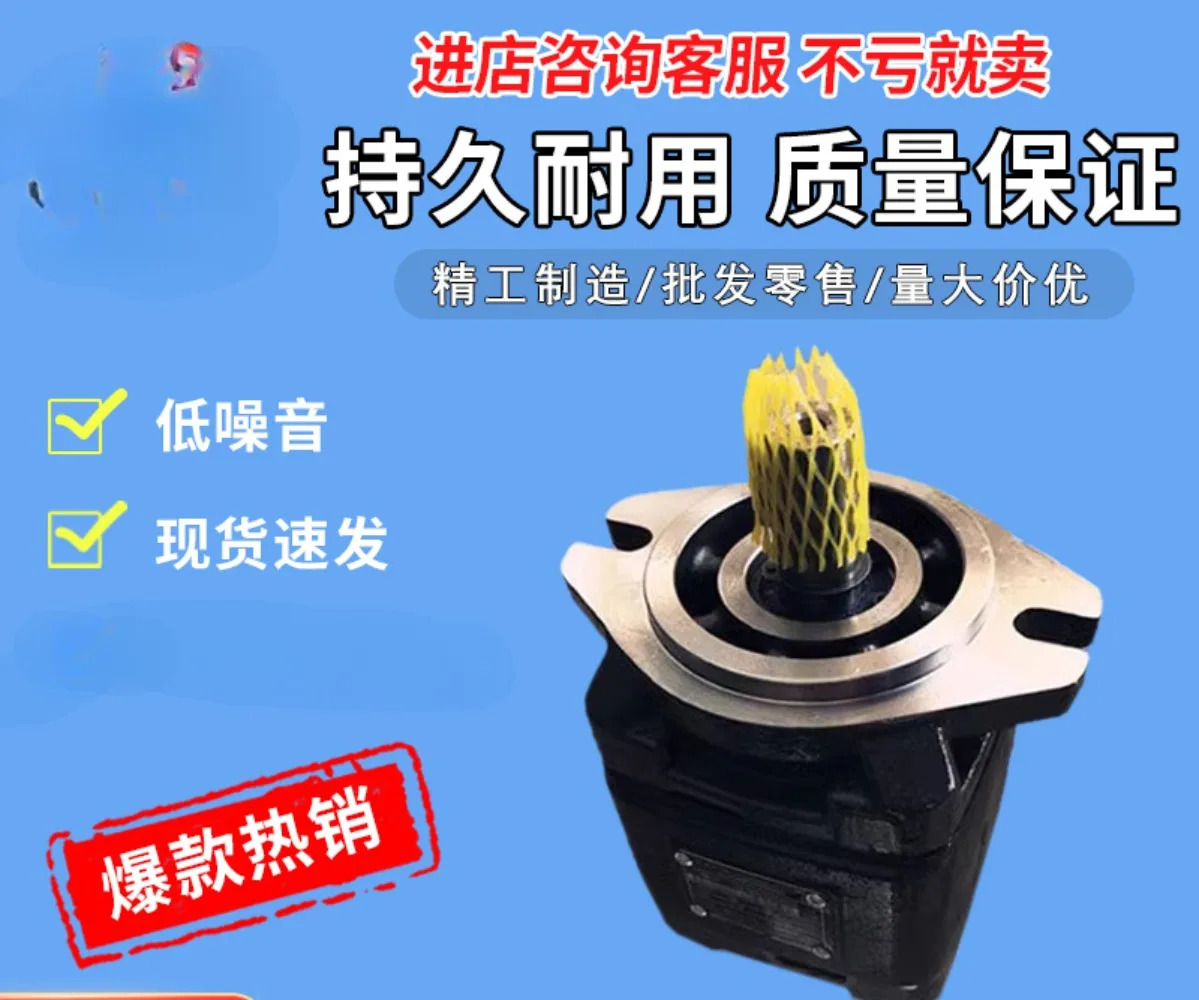 내부 기어 펌프 오일 HG0-0820/16 HG1-25 40 50/63-01R-VPC