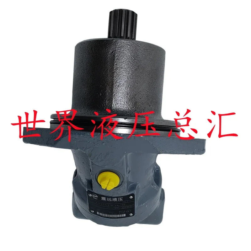 Zhenyuan 유압 축 피스톤 펌프 모터 A2FM10 23 45 180 12 61W A2FE32 107