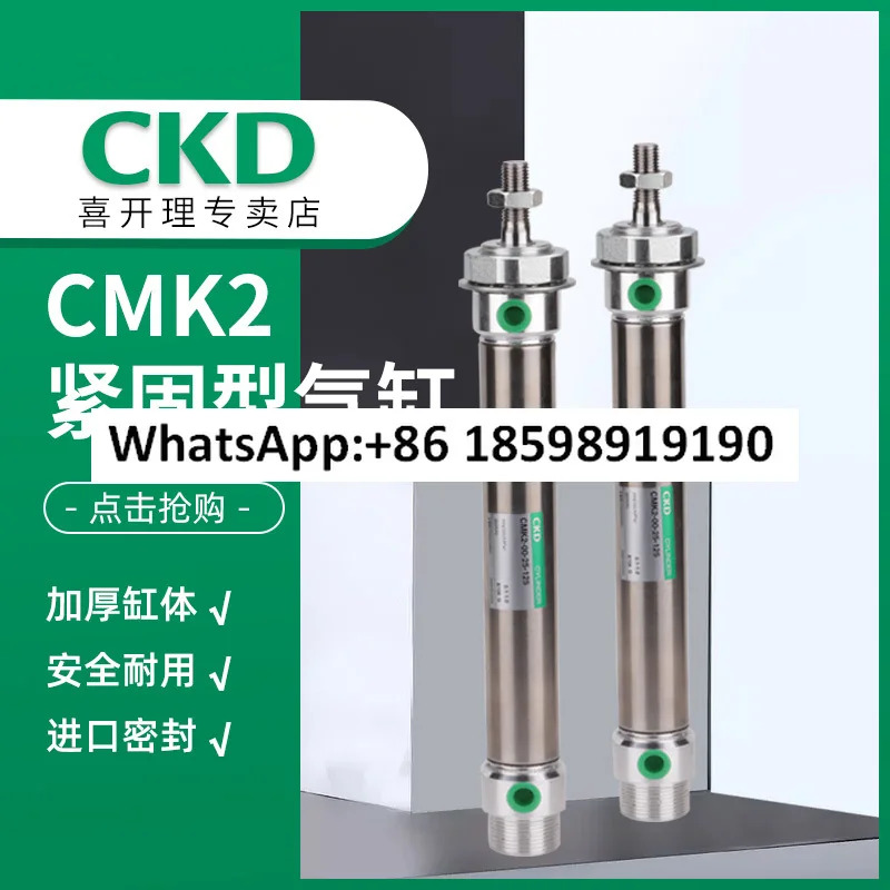 실린더 CMK 2 - Q 00-20-250 H 포장