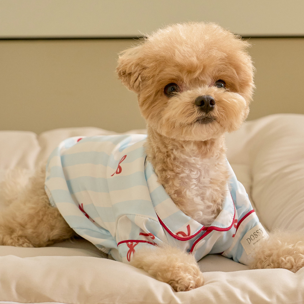네이버 실크핏 보니 펫 잠옷 반려동물 강아지 고양이 파자마