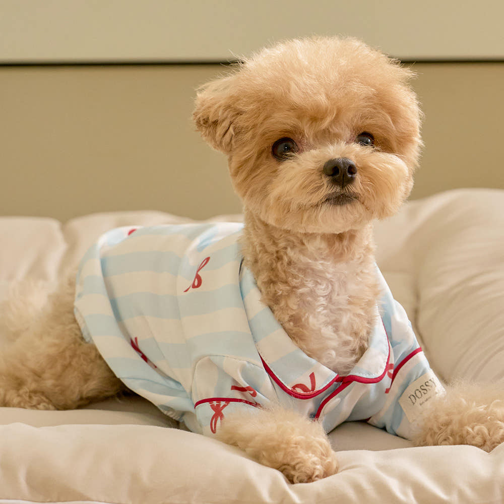 실크핏 보니 펫 잠옷 반려동물 강아지 고양이 파자마 가격 비교 DOSSY 실크핏 보니 펫 잠옷 반려동물 강아지 고양이 파자마