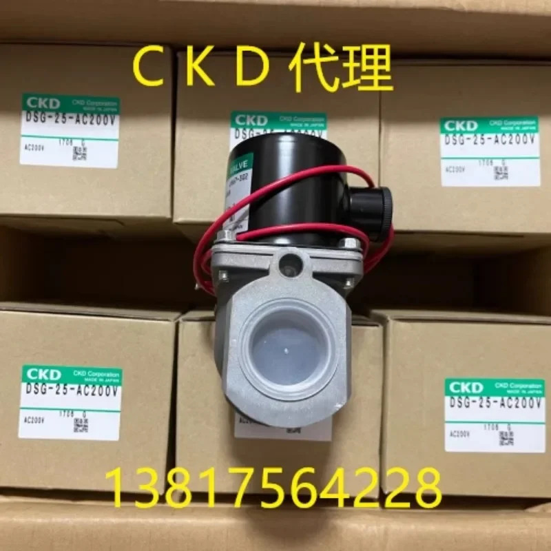 전자기 밸브 DSG-15-AC200V DSG-20-AC200V DSG-25-AC200V