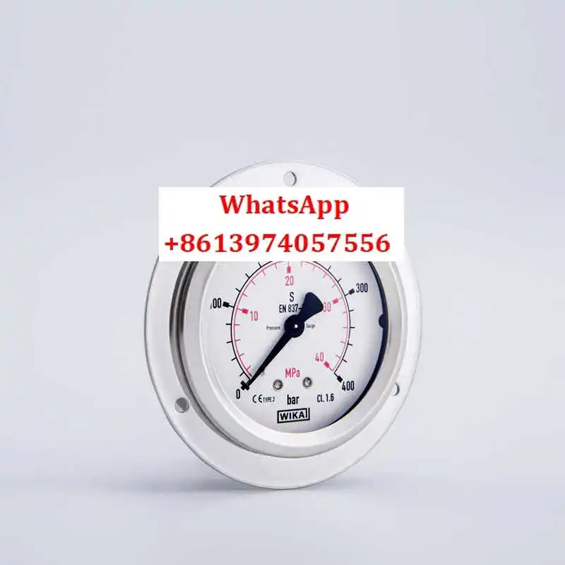 독일 압력 게이지 EN837-1 축 패널 설치 유압 213.53.063