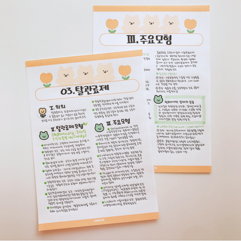 치이즈샵 떡메모지 A5 피식곰 모눈 120g 캐릭터 공시생 메모지 노트 공부정리 메모장 - 상세 이미지 5