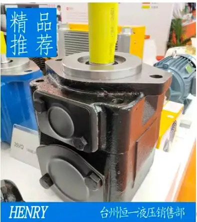 DENISON 유압 펌프 T6E-072-1R00-A1 T6E-066-1R00-A1 T6E-050-1R00-A1 T6E-062-1R00-A1 T6E-042-1R00-A1 T6E-0
