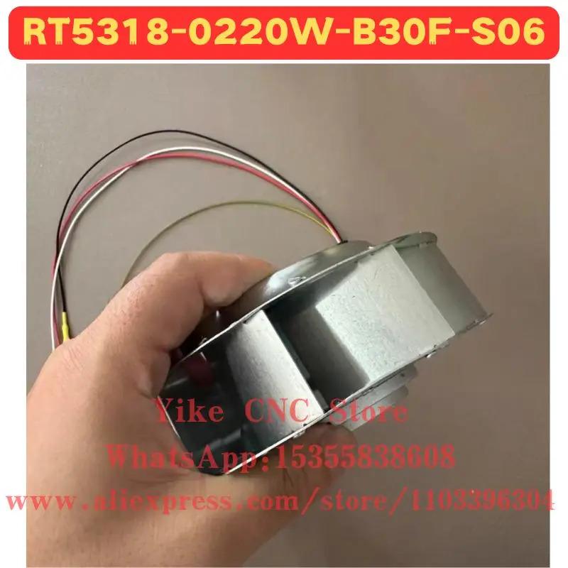 RT5318-0220W-B30F-S06 팬
