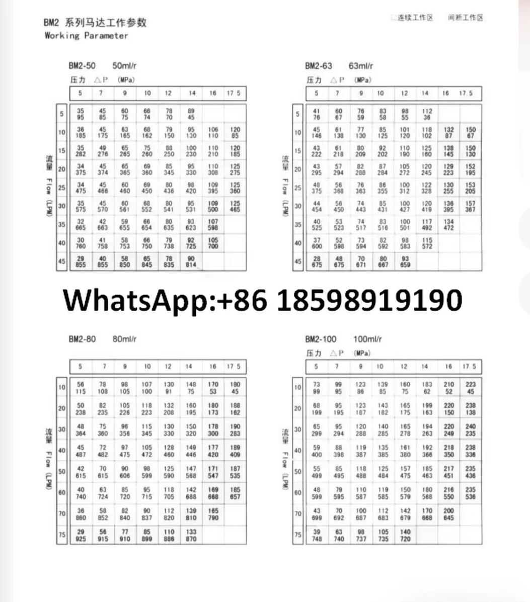50 80 125 160 200/315/400 사이클로이드 유압 오일 모터 저속 고토크