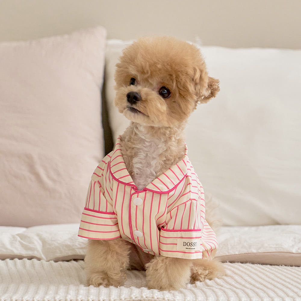 실크핏 러브썸 펫 잠옷 강아지 고양이 파자마 가격 비교 DOSSY 실크핏 러브썸 펫 잠옷 강아지 고양이 파자마