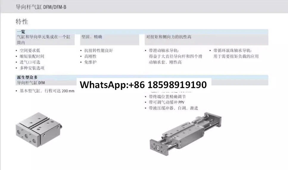 DFM-12-20-P-A-GF DFM-12-25-P-A-GF DFM-12-40-P-A-GF DFM-12-80-P-A-GF DFM-12-50-P-A-GF DFM-12-100-P-A