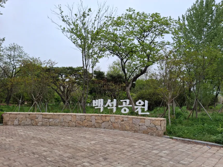 [깨비의숲마을][전주 백석공원] 전북 전주 숲체험 어린이 여름 유아 초등 자연 곤충 주말 방학 체험 학습 이미지 6