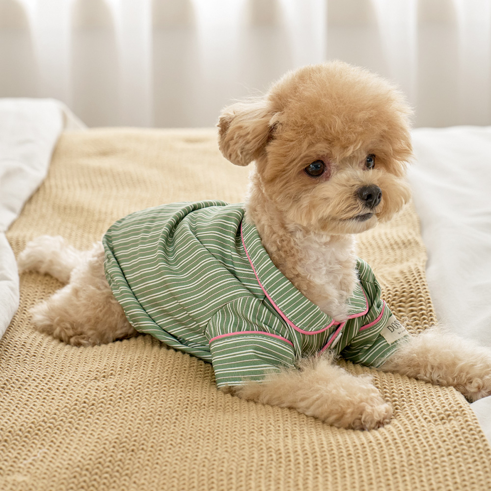 실크핏 웬즈데이 펫 잠옷 반려동물 강아지 고양이 파자마 상품 이미지
