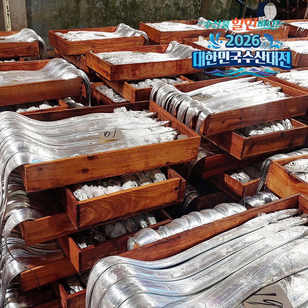 제주 은갈치 특대 400g 3마리, 특특대 550g 2마리 (갈치구이, 갈치조림, 냉동 갈치) - 메인 이미지