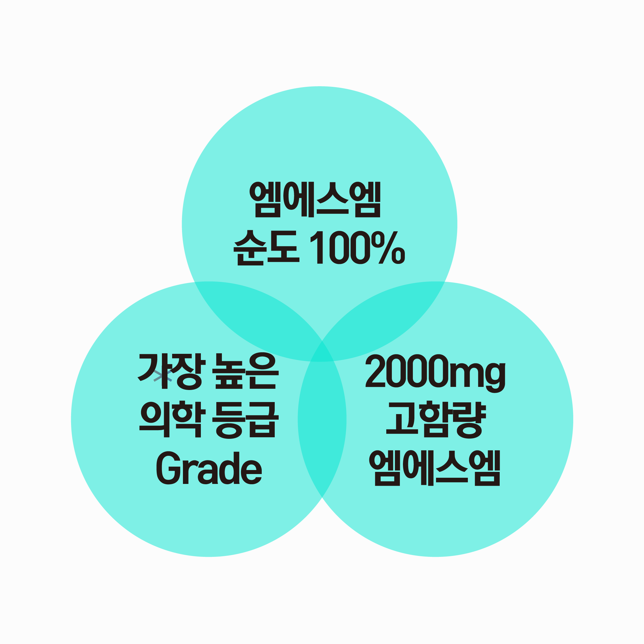 바이탈솔루션 엠에스엠 MSM 120정, 1개 - 상세 이미지 2