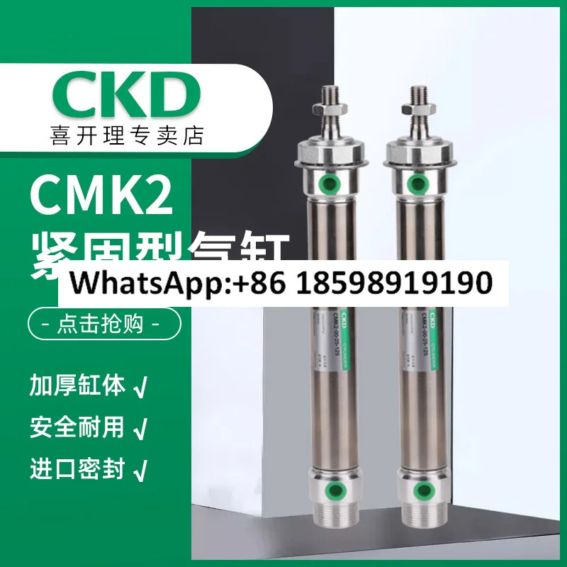 실린더 CMK 2 - Q 00-20-250 H 포장