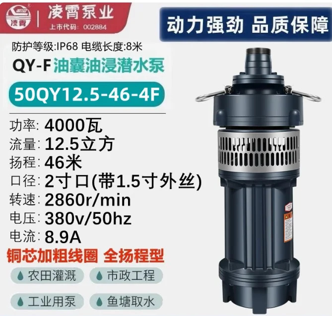 오일 블래더 잠수 펌프 50QY15-26-2.2F 50QY15-36-3F 50QY12.5-46-4F 65QY25-17-2.2F 65QY25-26-3F 65QY25-32-4F