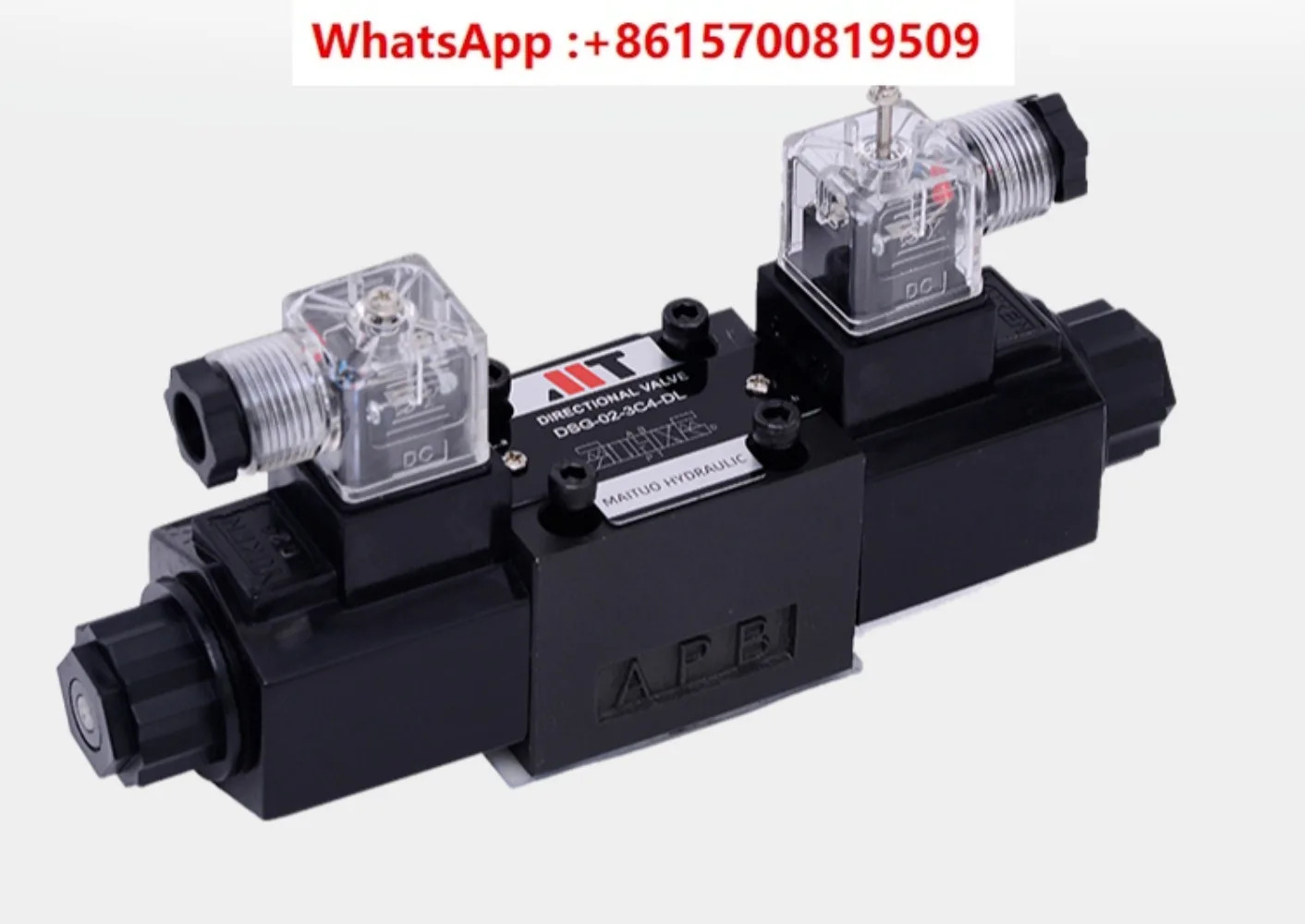 DSG-02 오일 연구형 유압 솔레노이드 양방향 리버싱 밸브 체크밸브 3C2 3C6AC220V DC24V