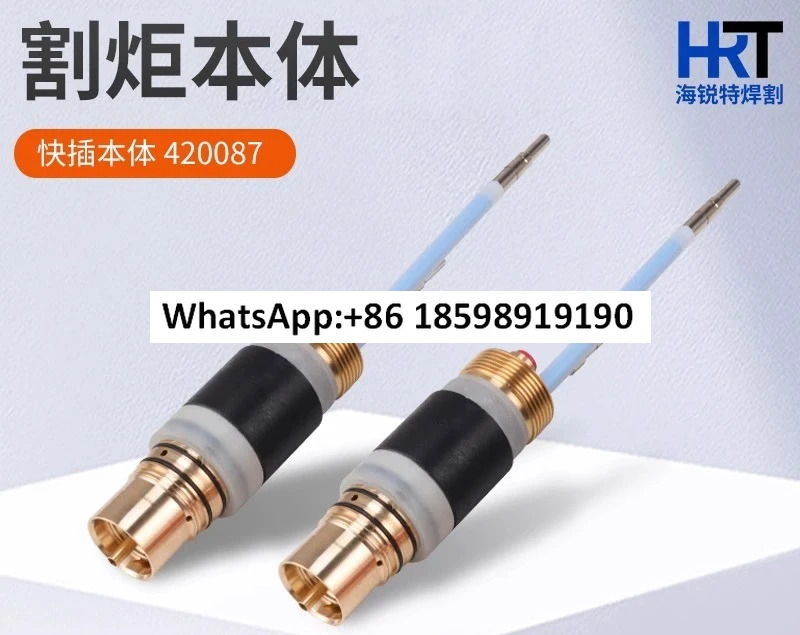 420087 토치 본체 200A 수치 제어