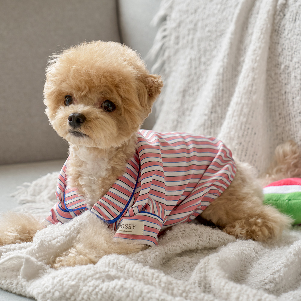 네이버 실크핏 피오니 펫 잠옷 반려동물 강아지 고양이 파자마