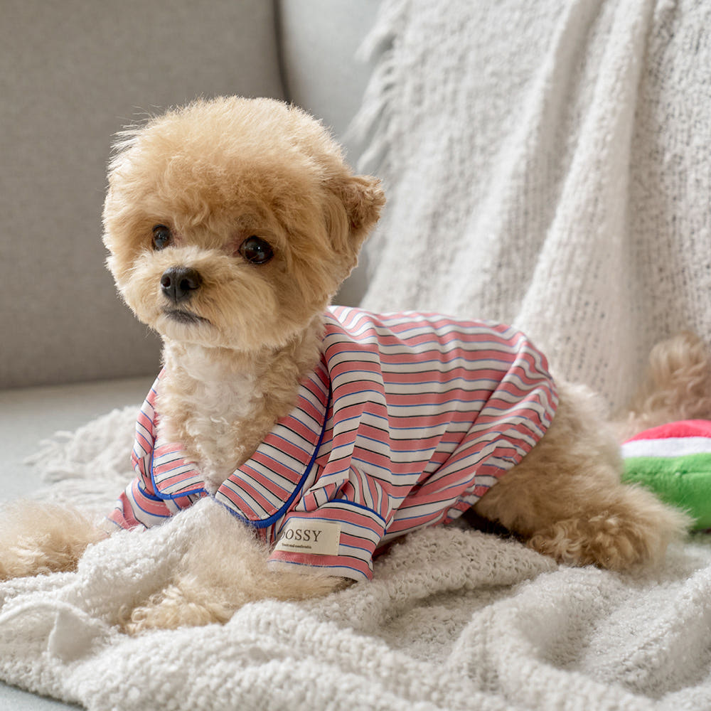 실크핏 피오니 펫 잠옷 반려동물 강아지 고양이 파자마 가격 비교 DOSSY 실크핏 피오니 펫 잠옷 반려동물 강아지 고양이 파자마
