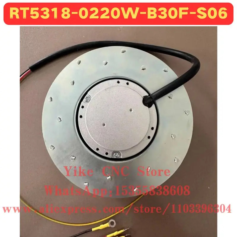 RT5318-0220W-B30F-S06 팬