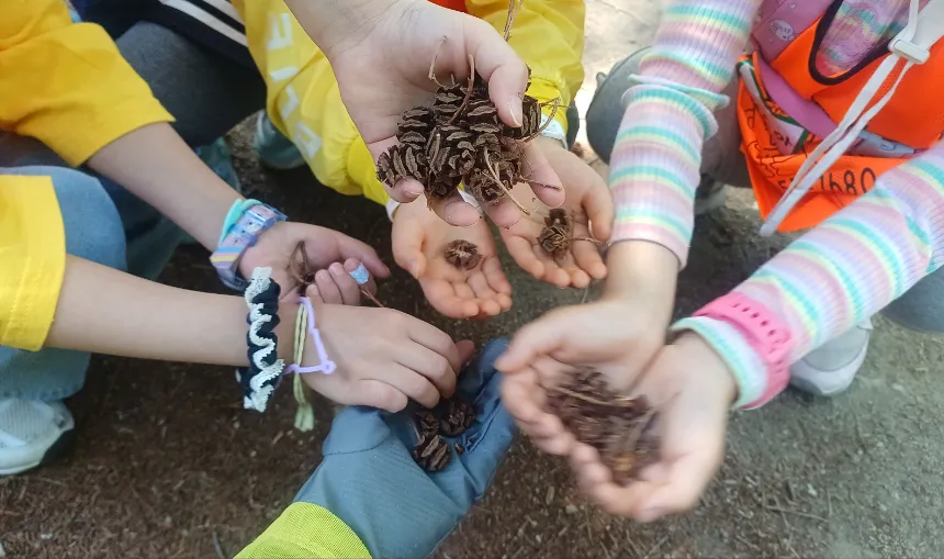 [깨비의숲마을][전주 백석공원] 전북 전주 숲체험 어린이 여름 유아 초등 자연 곤충 주말 방학 체험 학습 - 상세 이미지 3