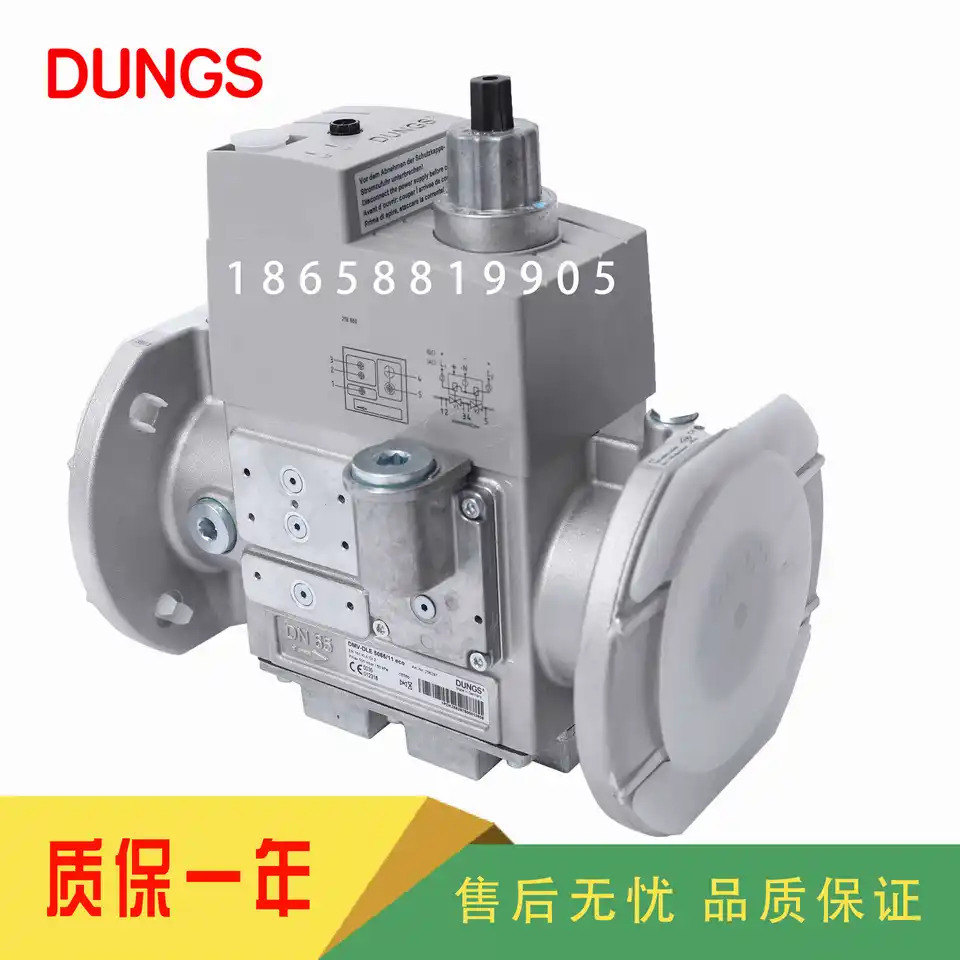 DUNGS DMV5065/11 DMV5080/11 DMV5100/11 DMV-D5065/11 DMV-D5080/11 DMV-D5100/11 DMV-DLE5065/11 DMV-DL
