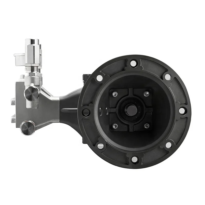 Pai Chi 스테인리스강 피스톤 고압 펌프 삼펌프 5100PSI 350BAR