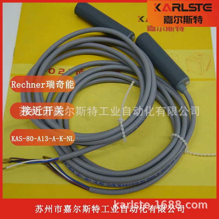 RECHNER 리치 에너지 센서 KAS-80-A13-A-K-NL 환영합니다