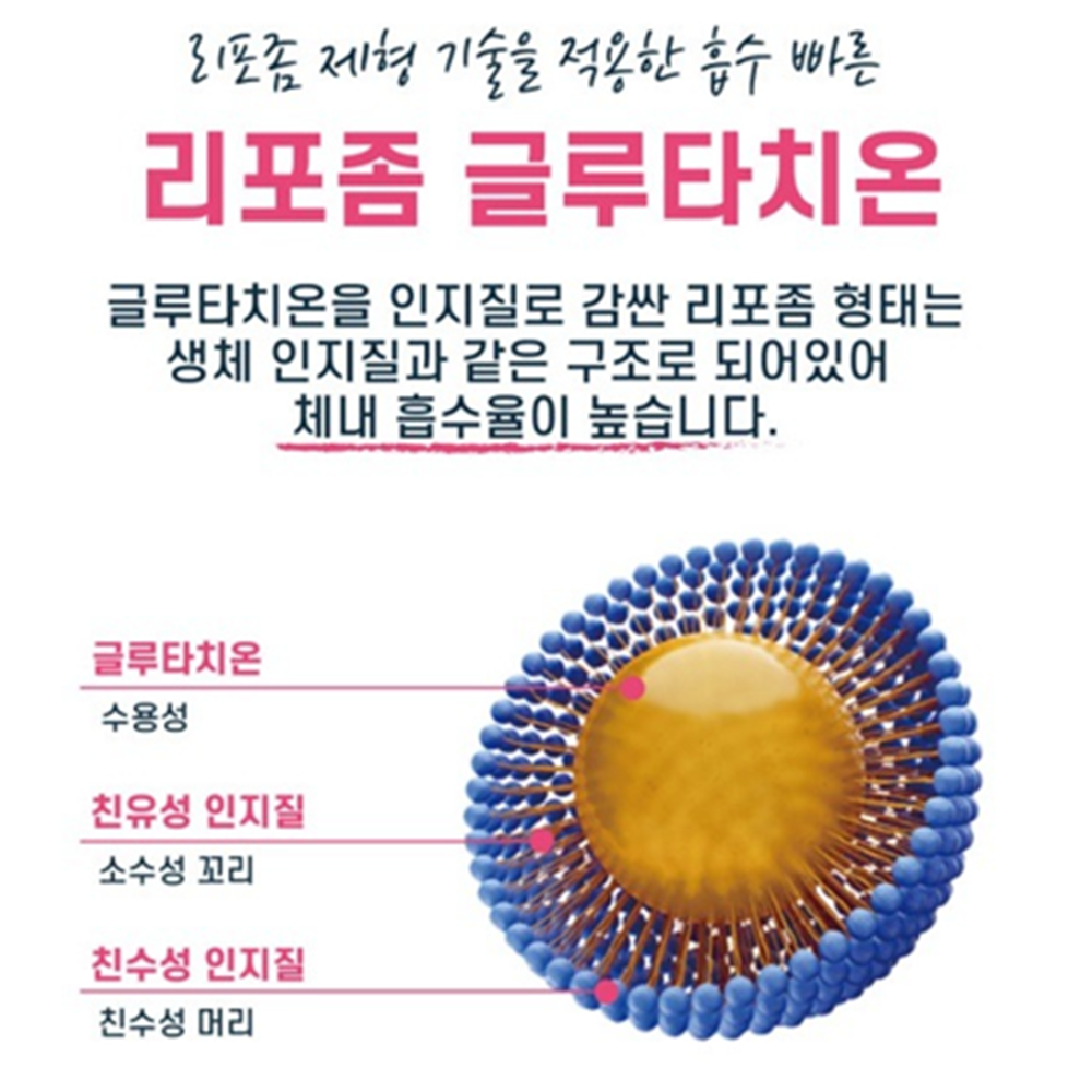 동신헬스케어 리포좀 글루타치온 필름 맥스 90 인지질코팅 구강 점막 용해 30매, 2개 - 상세 이미지 4