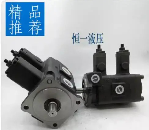 JUNTAI 오일 펌프 VP-DF-12D-12D VP-DF-15D-15D VP-DF-20D-20D VP-DF-30D-30D VP-DF-40D-40D