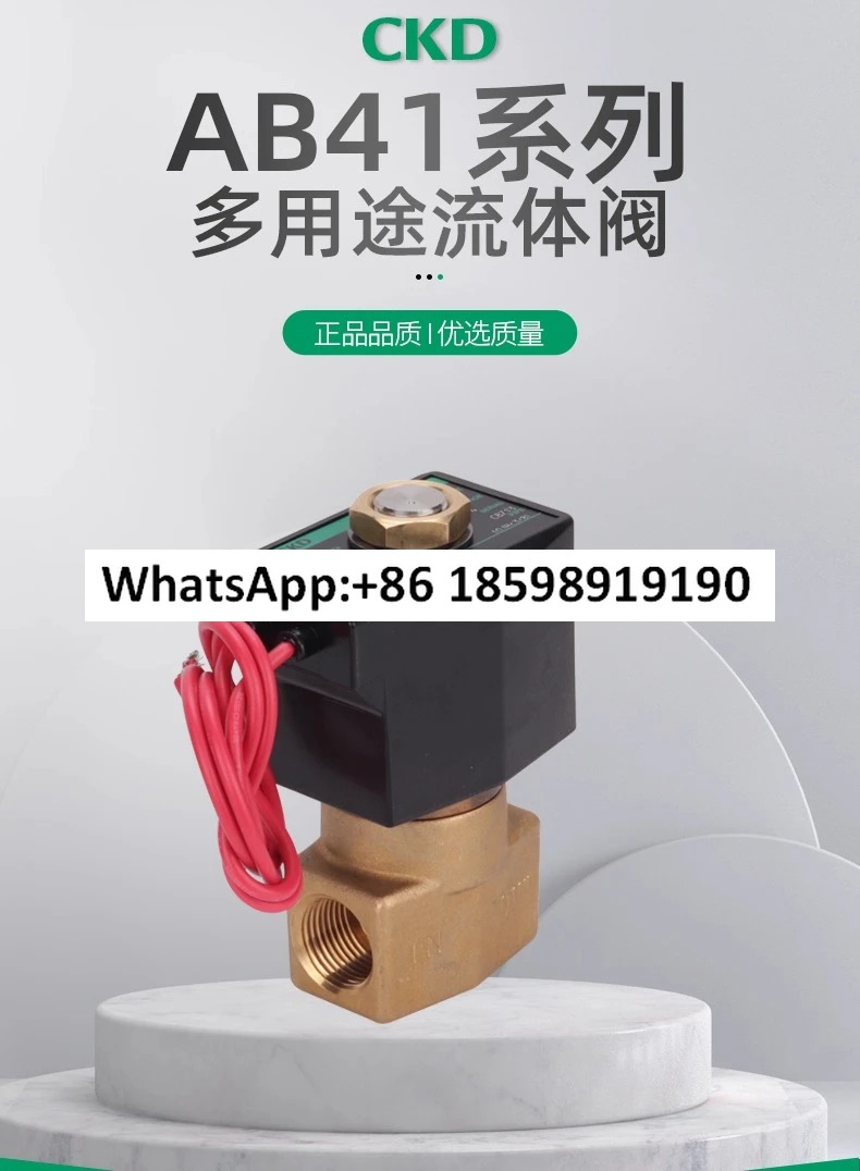CKD 2방향 워터 밸브 솔레노이드 AB31 02 03 123456 02E AC220V DC24V