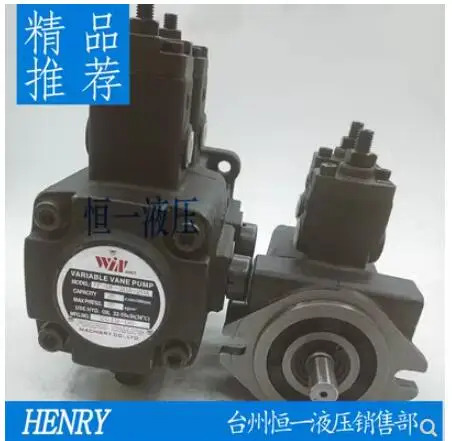 WINMOST 가변 베펌프 VP-DF-30B/30B VP DF 20A 12A VP-DF-20A-20A