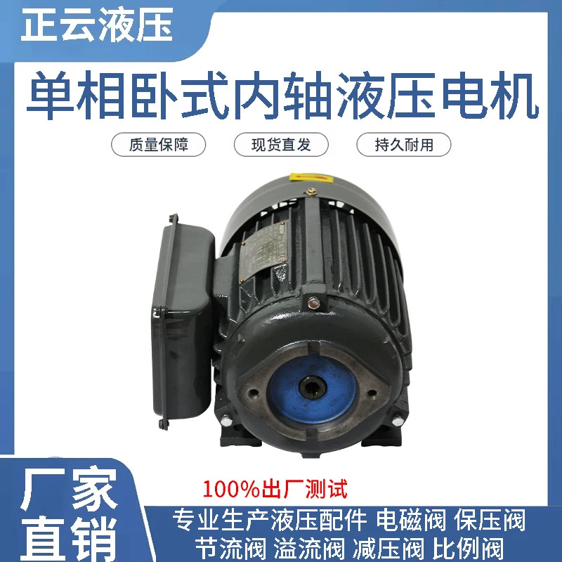 220V 유압 0.75 VP20 내부 샤프트 모터 1.5KW VP15 단상 수평