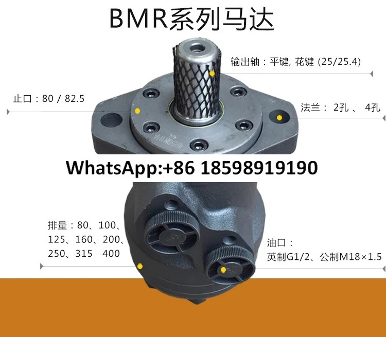 다이 조정 사이클로이드 유압 모터 BMR200 250/315/400
