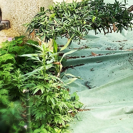 과수원 제초매트 농업용 덮개 방초천 잡초방지 롤 농업자재 원예용품 잡초관리 텃밭관리 - 상세 이미지 2