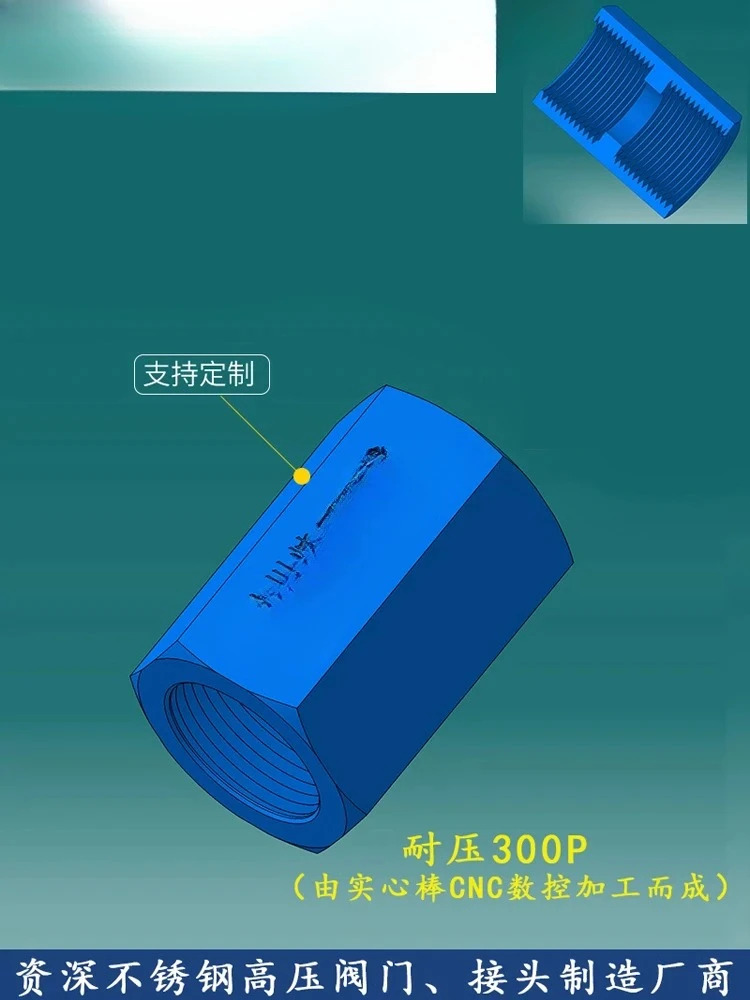 10pcs 304 스테인레스 스틸 내부 와이어4 포인트 고압 이내부 치아 직선 2 3