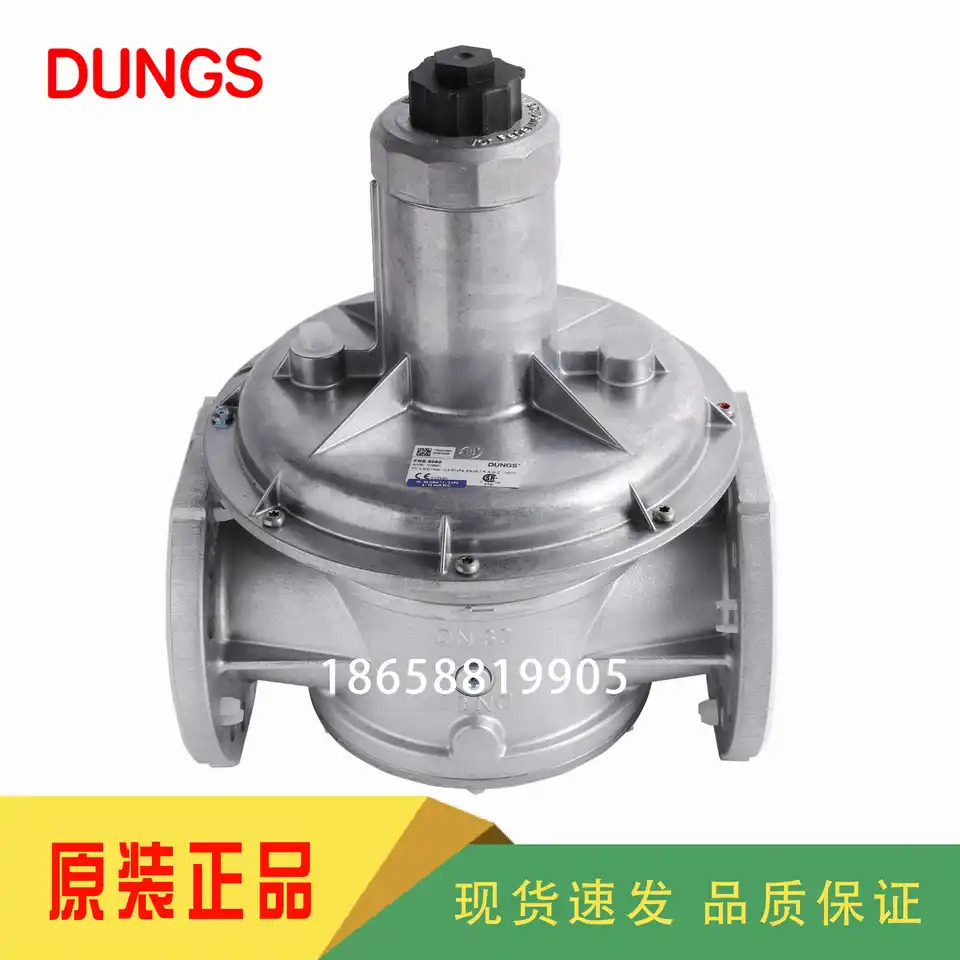DUNGS FRS505 FRS507 FRS510 FRS515 FRS520 FRS5050 FRS5065 FRS5080 FRS5100